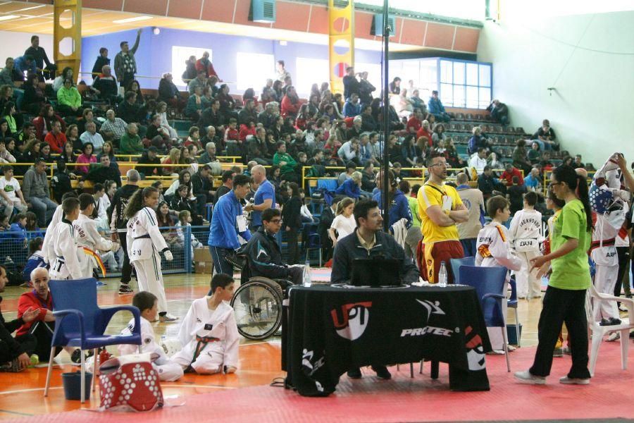 Open de Taekwondo