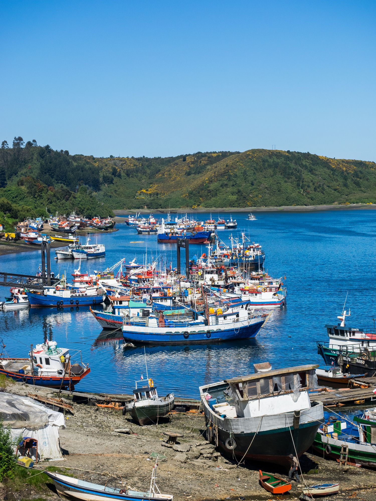 Barcos de pesca en Puerto Montt.