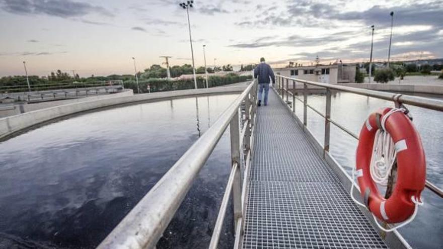 Los campos de golf de la Vega Baja consumen ya el 20% del agua que depura Torrevieja