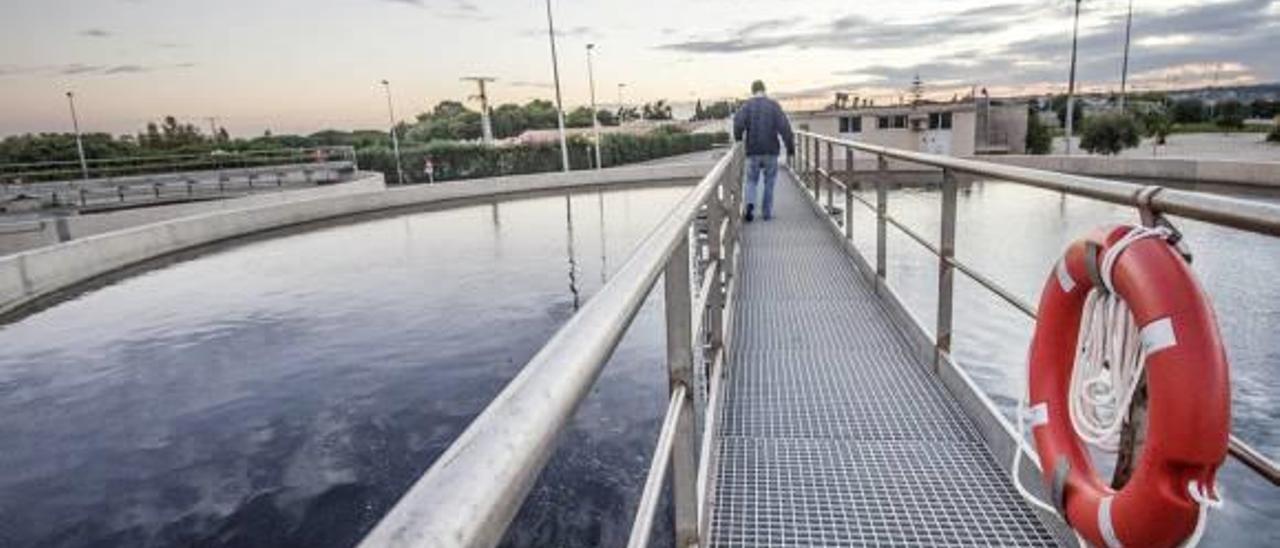 Los campos de golf de la Vega Baja consumen ya el 20% del agua que depura Torrevieja