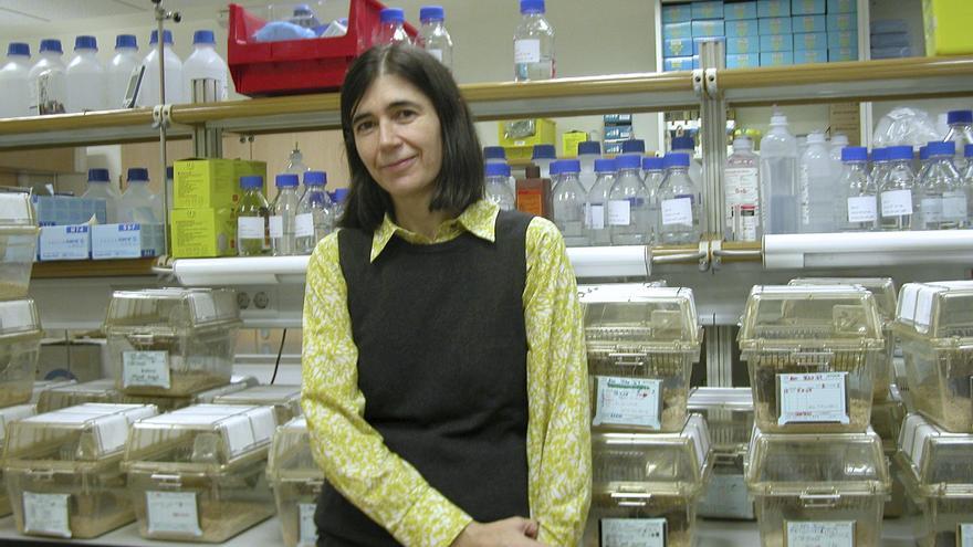 La científica alicantina María Blasco, premio Abogados de Atocha