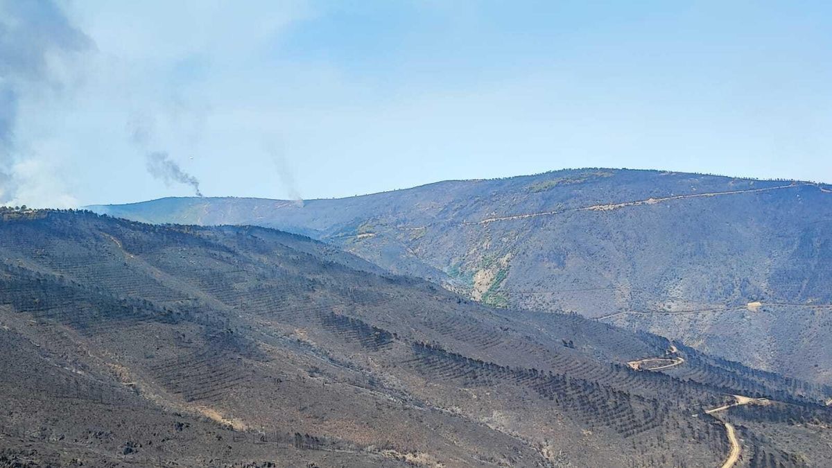 Paisaje desolador tras el paso del fuego en Las Hurdes