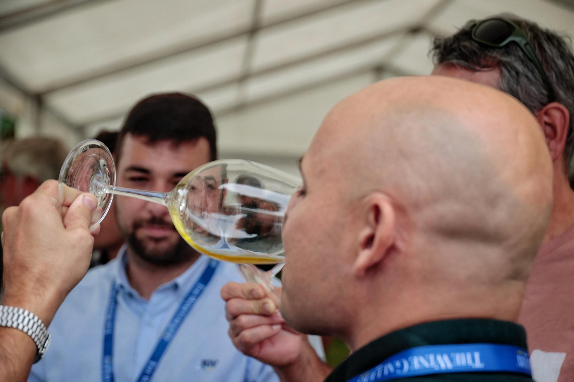 Primera jornada de The Wine Gallery