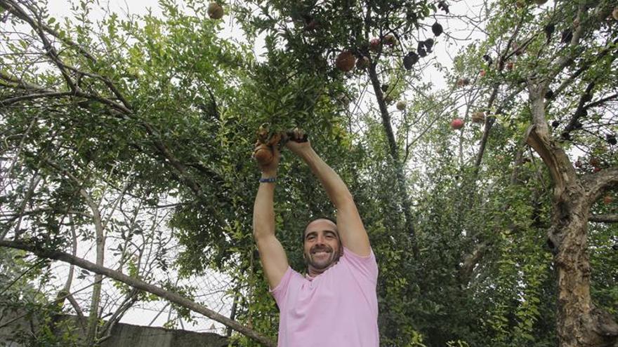 «Son buenas tierras abonadas de siglos»