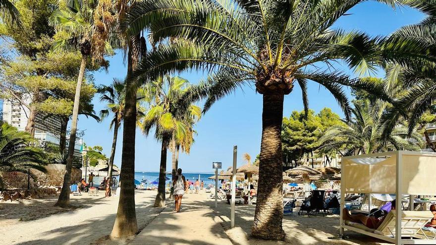 Nach dem Sturmchaos: Der Sommer auf Mallorca feiert sein Comeback