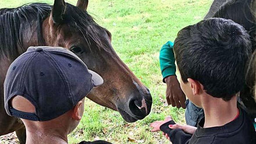 Dos niños participantes en el campamento de Asotrame dan de comer a un caballo.