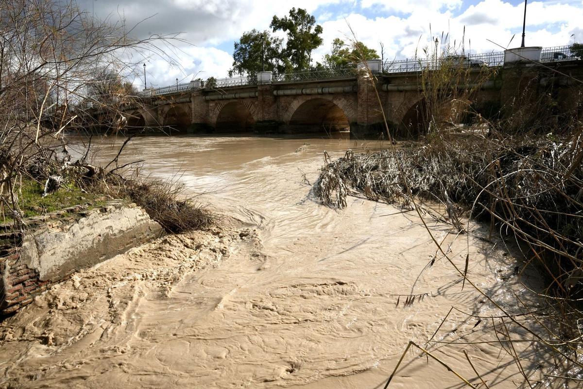 03/02/2026 Vista general de la crecida del río Genil a su paso por la localidad de Écija. A 03 de febrero de 2026, en Écija, Sevilla (Andalucía, España). POLITICA Eduardo Briones - Europa Press