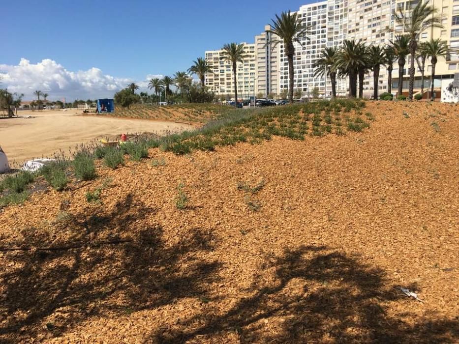 Obres al passeig d'Empuriabrava