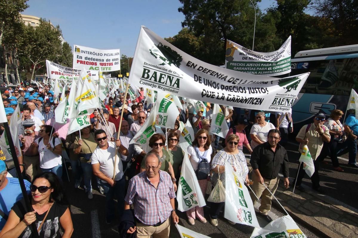 Córdoba se suma a la gran manifestación del olivar en Madrid