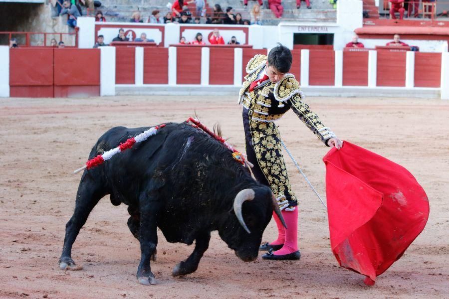 Tarde de toros en Zamora