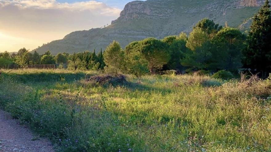 La vall de la Drova, a on esta matinada ha gelat feblement