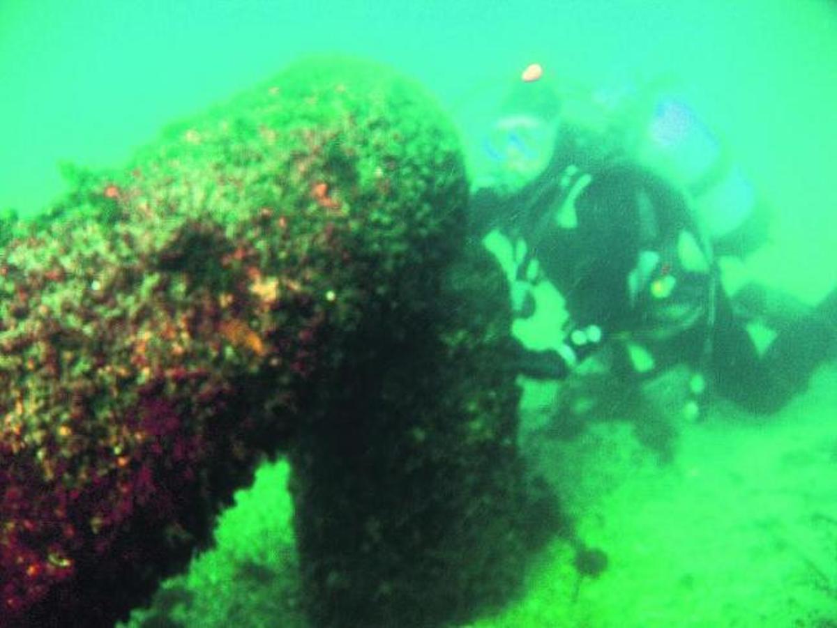 Galicia quiere los cañones del Eo