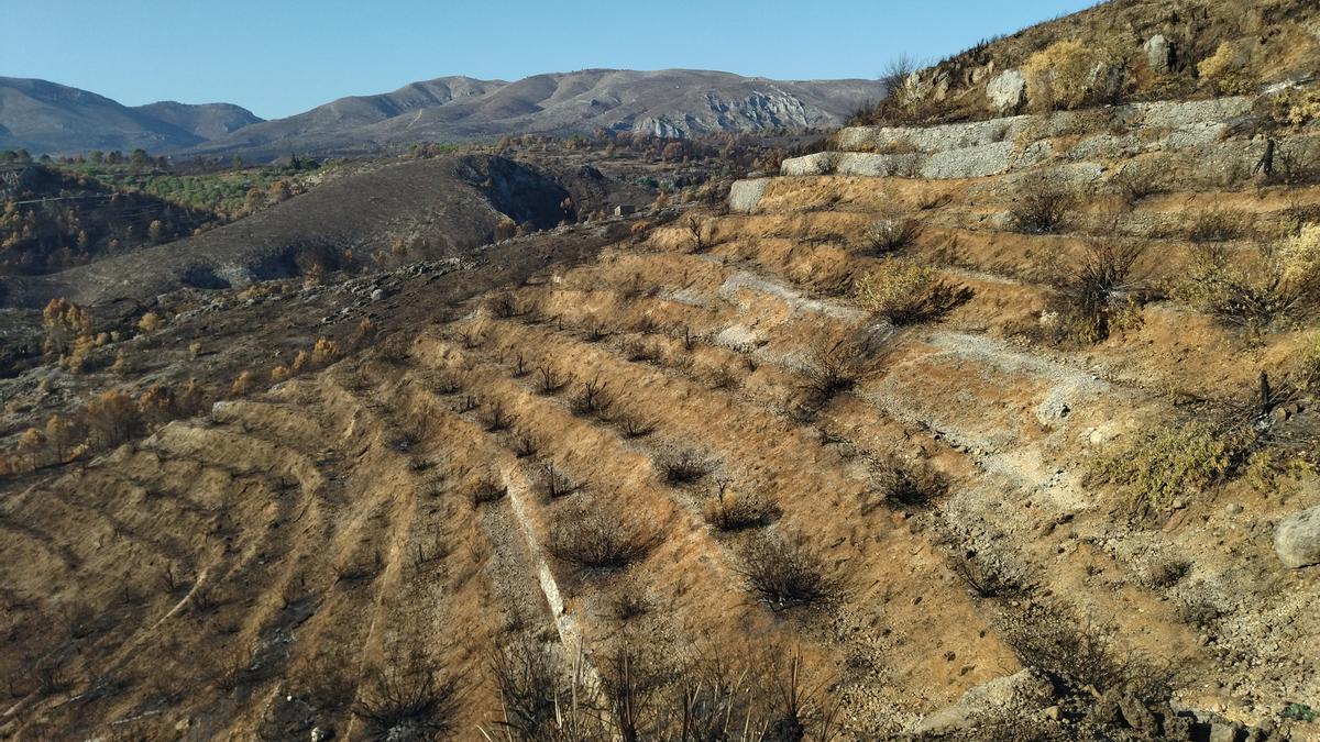 Muros desmoronados en una ladera de bancales abandonados y ahora calcinados