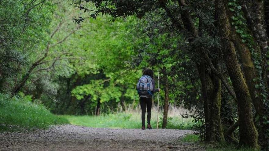 Un tramo de la Variante Espiritual. // Iñaki Abella