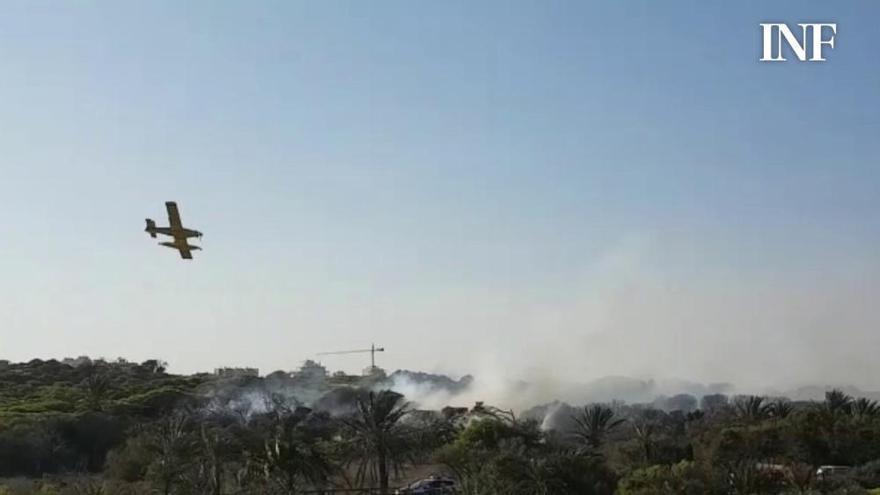 Medios aéreos trabajan en el incendio de la pinada de Guardamar