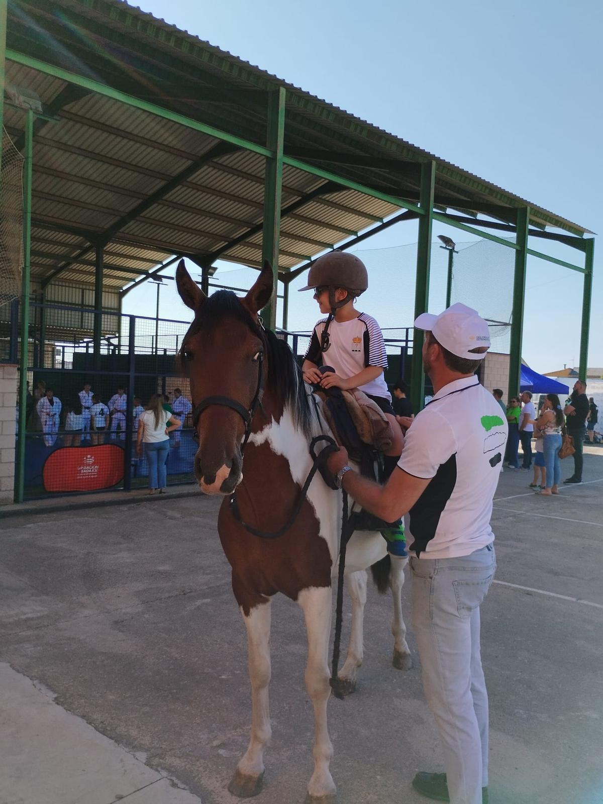 Federación Extremeña de Hípica.