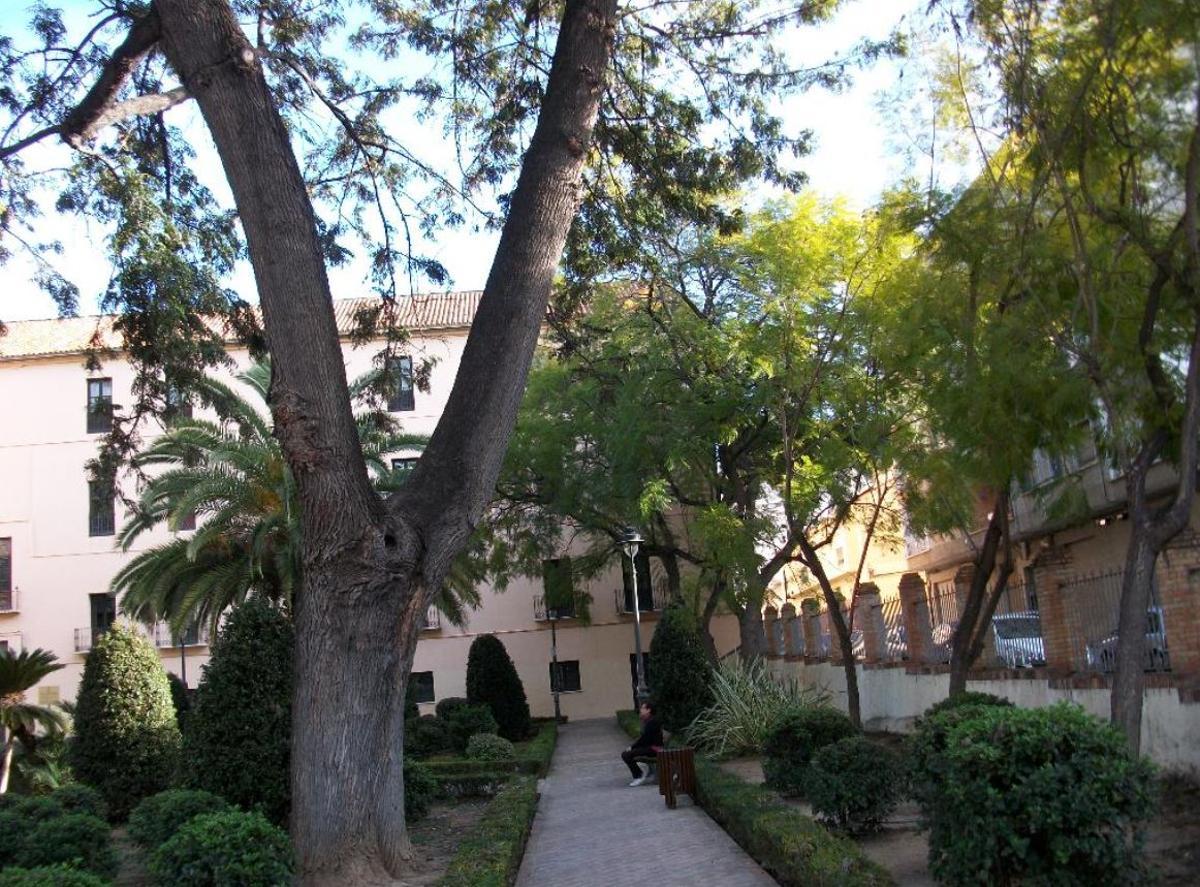 Jardines de Alfonso XII, una joya botánica de Málaga declarada Bien de Interés Cultural