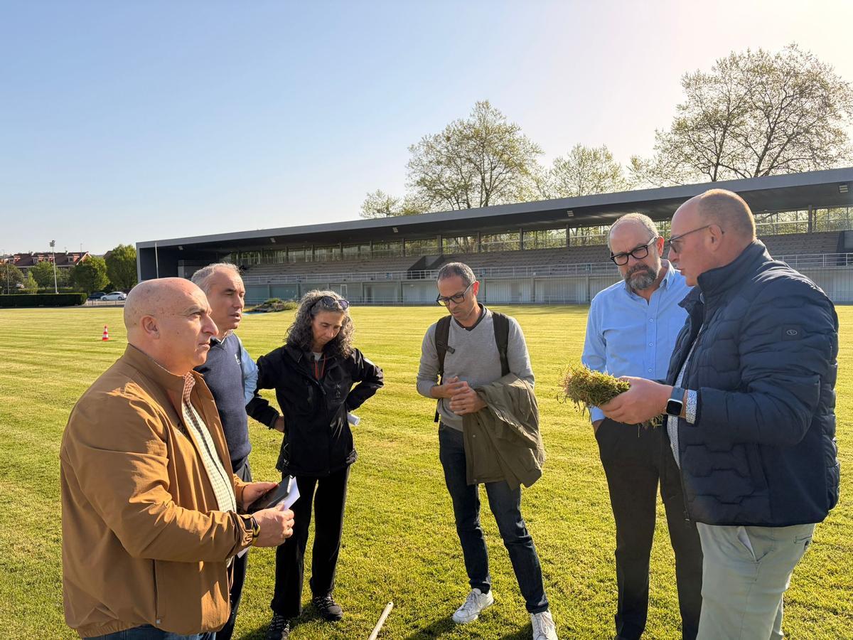 Michel Poncelet –a la derecha, con un trozo de hierba–, con personal del Patronato Deportivo, del área de Parques y Jardines del Ayuntamiento y de la empresa Valoriza.