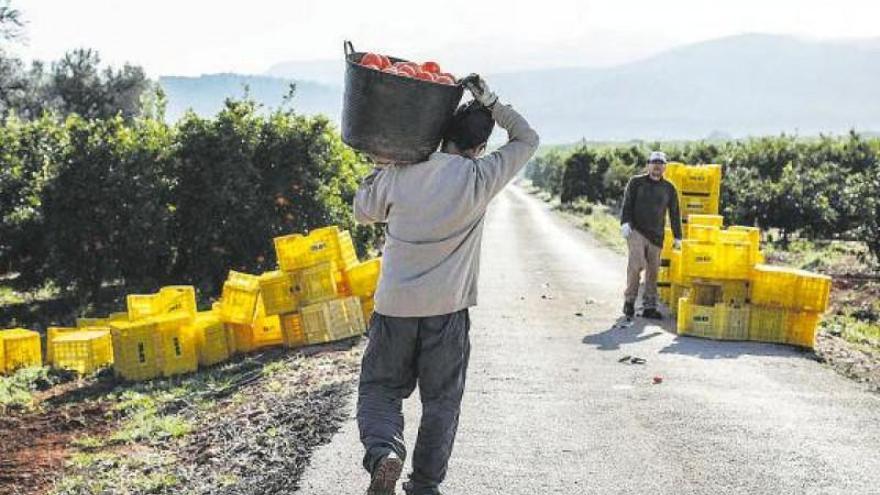 La Comunitat Valenciana prepara viviendas de aislamiento para temporeros ante posibles casos de covid