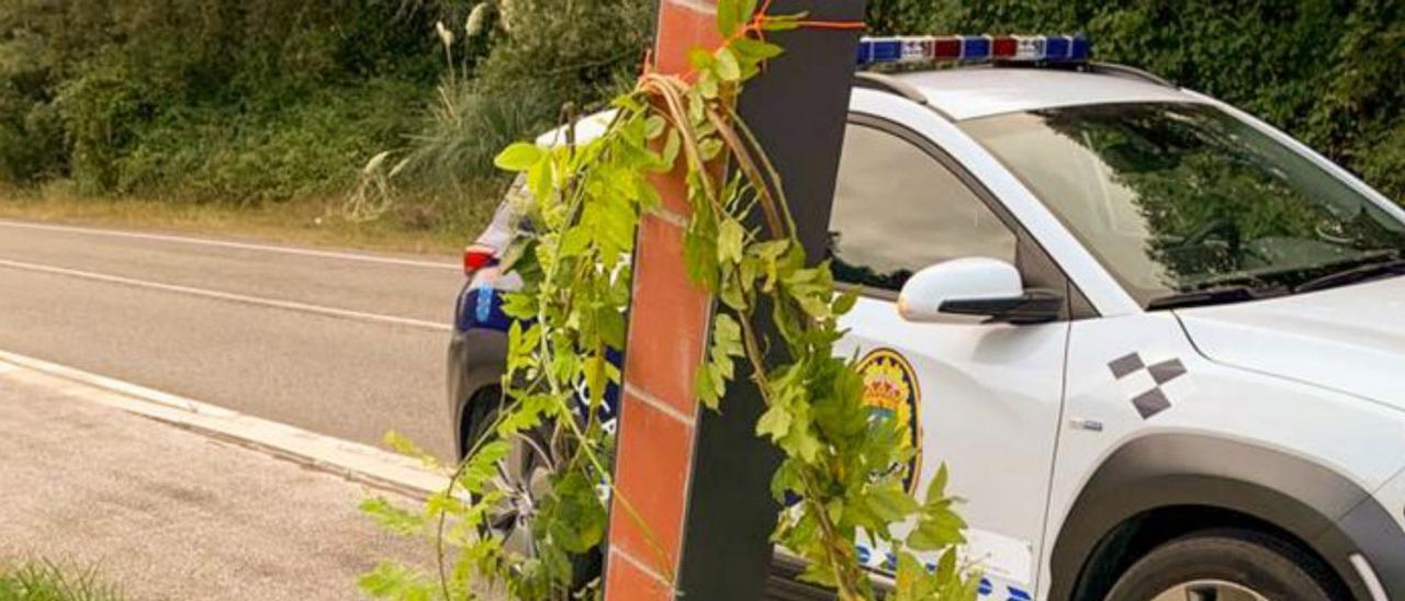 Daños a la pérgola vegetal de la Veiga do Louro.  | // D.P.