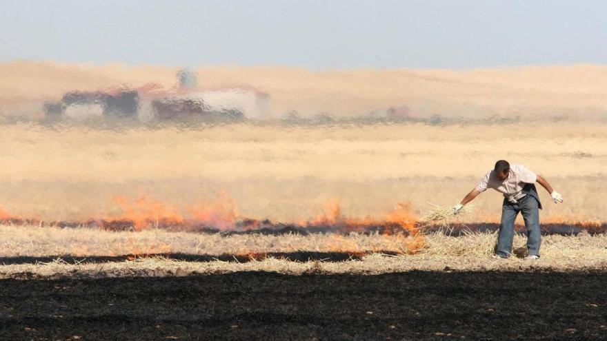Un agricultor quema una parcela de rastrojo