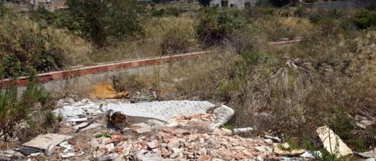 Ratas, conejos e insectos también van a la escuela en Alzira