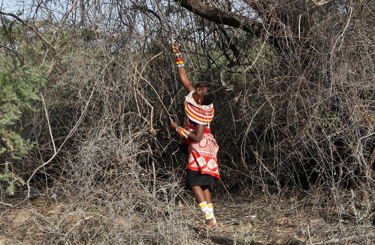 Las mujeres de la tribu Samburu que escaparon de la mutilación genital femenina y otros tipos de violencia de género hacen adornos tradicionales en la aldea de Umoja donde los hombres están restringidos, en Kenia