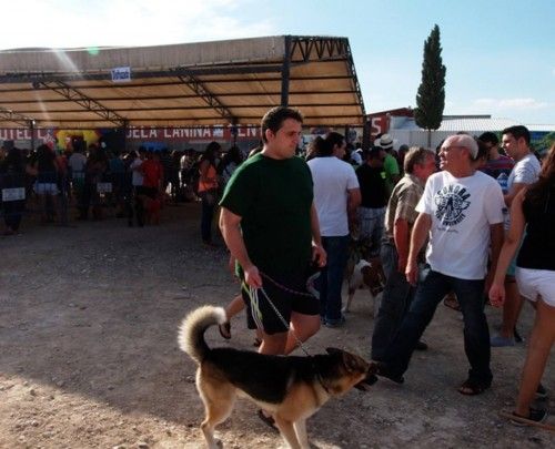 Festival canino en Molina