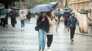 Archivo - Varias personas se protegen de la lluvia bajo sus paraguas. A 9 de febrero de 2024, en Sevilla (Andalucía, España).