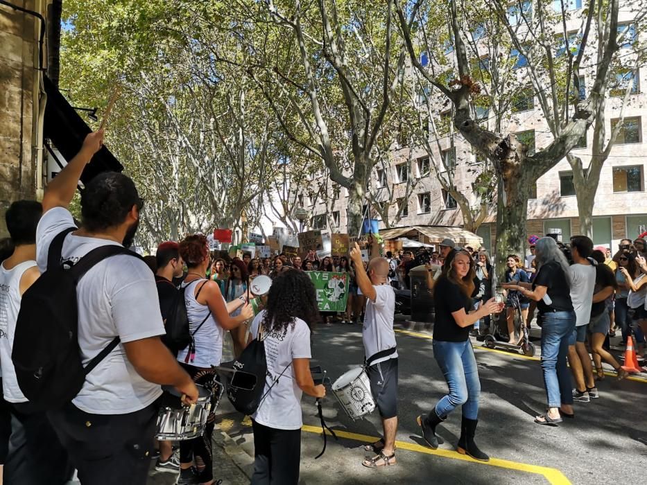 Die große Klimaschutz-Demo auf Mallorca