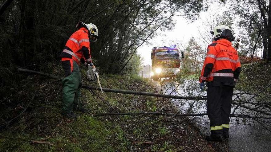 Emerxencias, cortando un árbol en San Xurxo de Vea. // Bernabé / J. Lalín