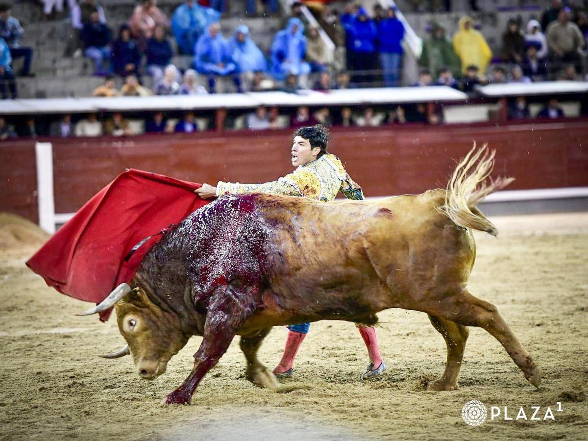 La envergadura de los toros era impresionante.