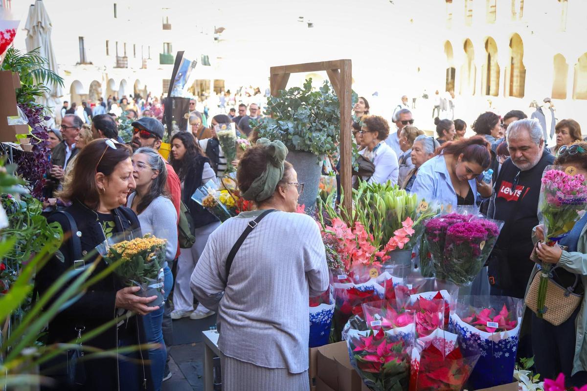Imagen del mercado floral de la plaza Alta en su primera edición, en noviembre.