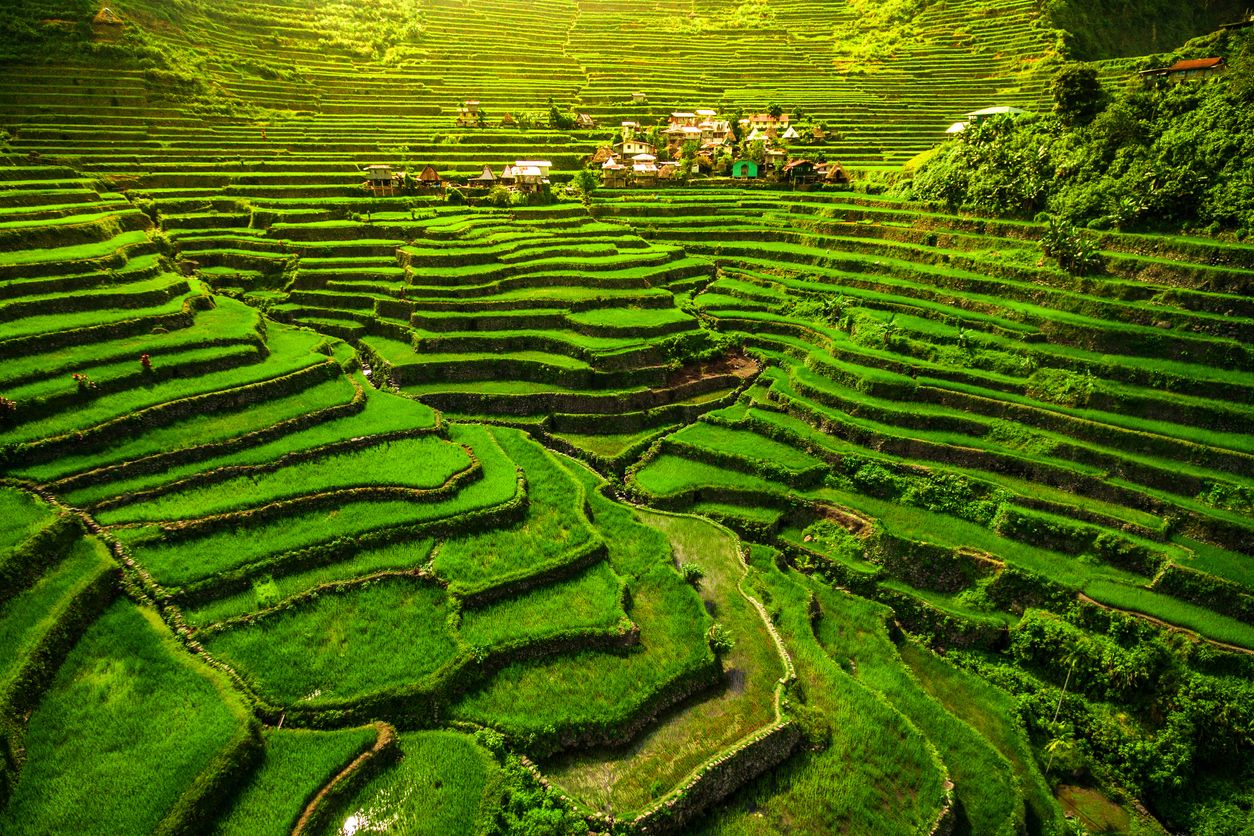 La hermosa geometría de los terrazas de arroz