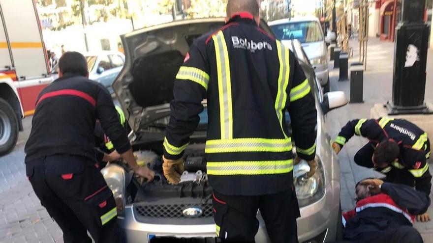 Los bomberos rescatan a una gata embarazada atrapada en el motor de un coche en Calp