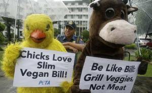 Membres de PETA, la popular organització que defensa els drets dels animals, esperen l’expresident dels EUA Bill Clinton a la sortida d’un acte a Manila (Filipines). Els activistes pretenen convèncer-lo que adopti la dieta vegetariana per mantenir-se sa i perdre pes.