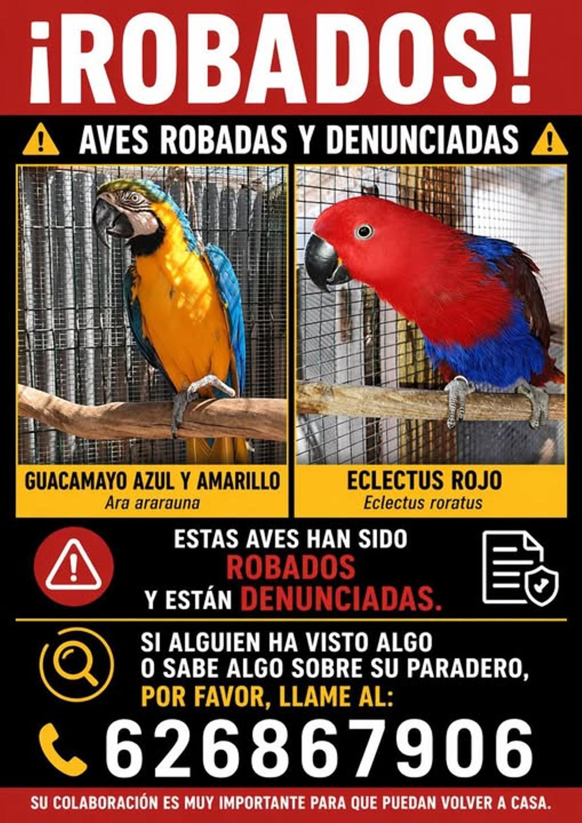 Cartel con la imagen de dos de los loros que fueron robados en Los Belones.