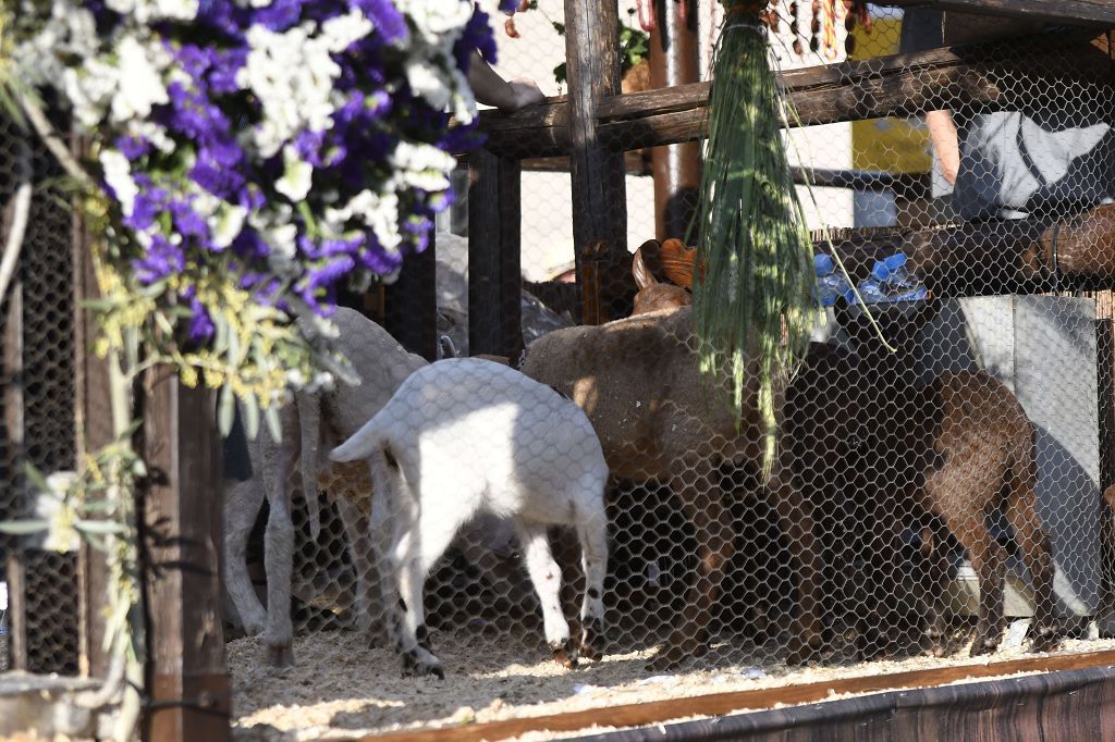 Las mejores imágenes del desfile del Bando de la Huerta de Murcia 2025 (I)