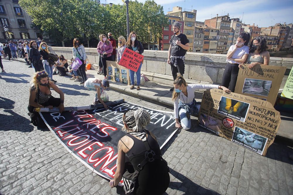 Concentració a Girona per reclamar l'alliberament dels animals de Vivotecnia de Madrid