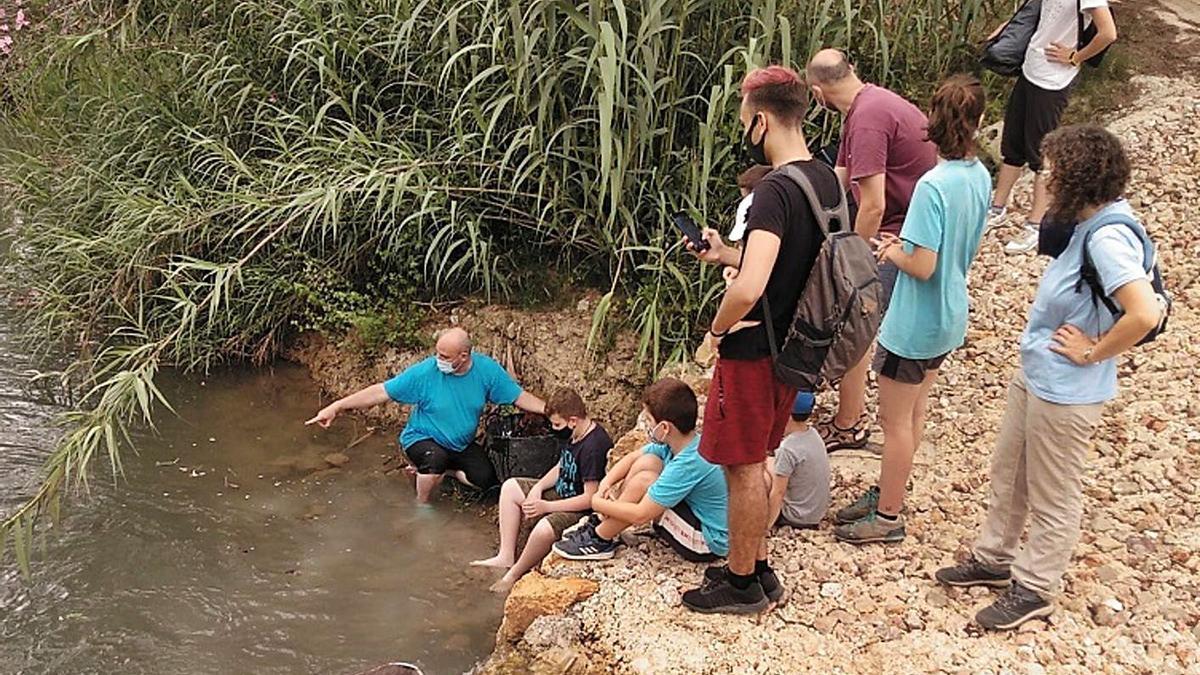 Regresa el proyecto Emys de Acción Ecologista | A.T.