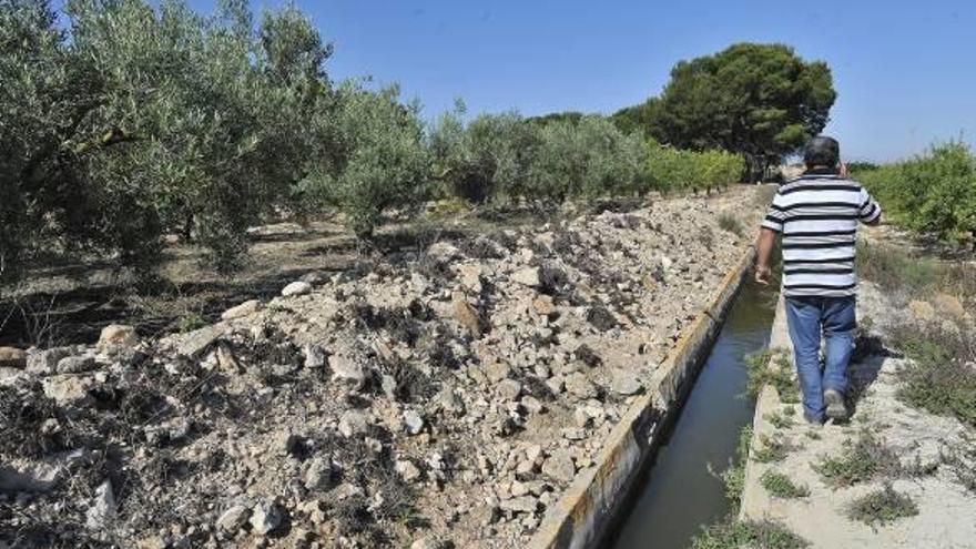 El Camp d&#039;Elx crea una oficina pionera para rentabilizar mejor los cultivos respetando el medio rural