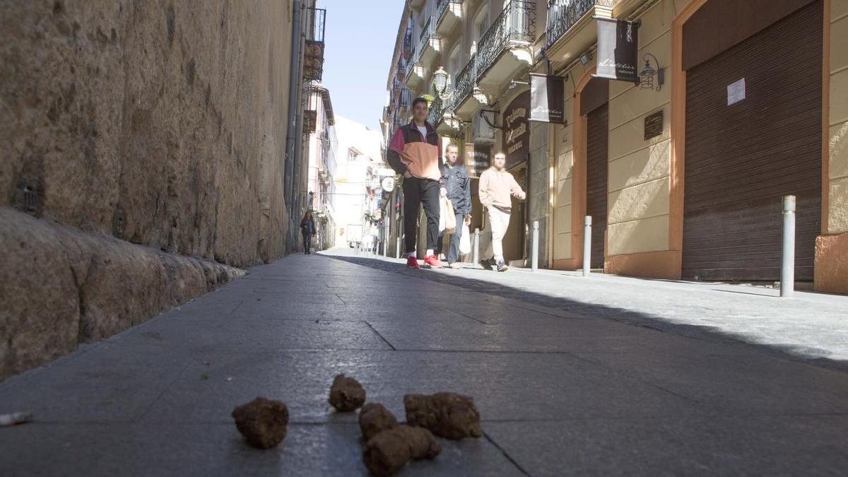 Heces de un perro en una calle del Casco Antiguo de Alicante, muy frecuentado sobre todo por turistas