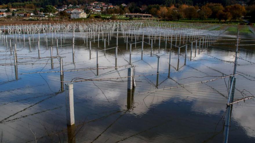 O Salnés se sumerge bajo las aguas del río Umia