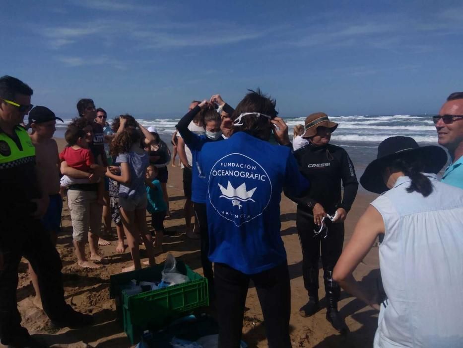 Rescate de una cria de calderón (delfín) varada en la playa de La Mata de Torrevieja. Voluntarios y el biólogo municipal estuvieron turnándose durante cinco horas hasta la llegada de los técnicos de l