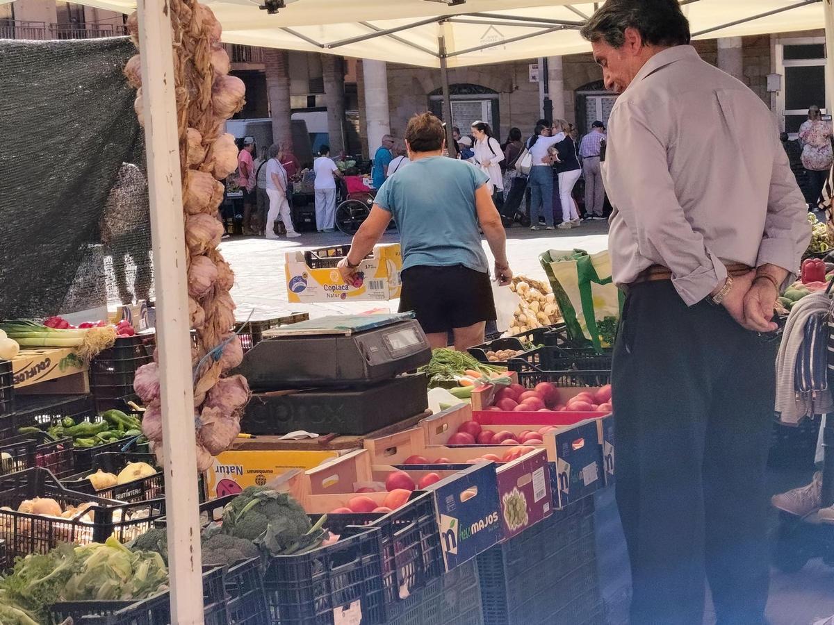 GALERÍA | El mercado de frutas y verduras de Benavente, en imágenes