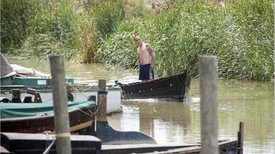 Medio Ambiente pone en cuarentena la Albufera para detectar si hay más siluros