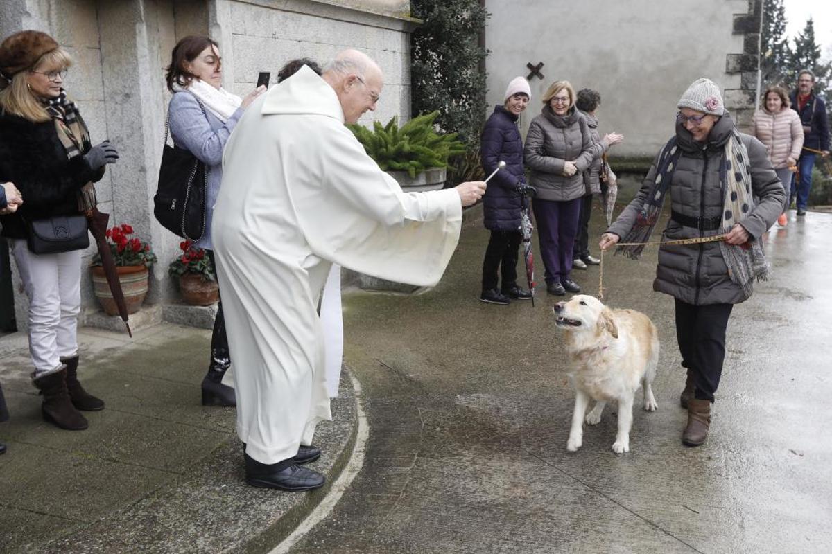 Benedicció dels animals per Sant Antoni a Girona