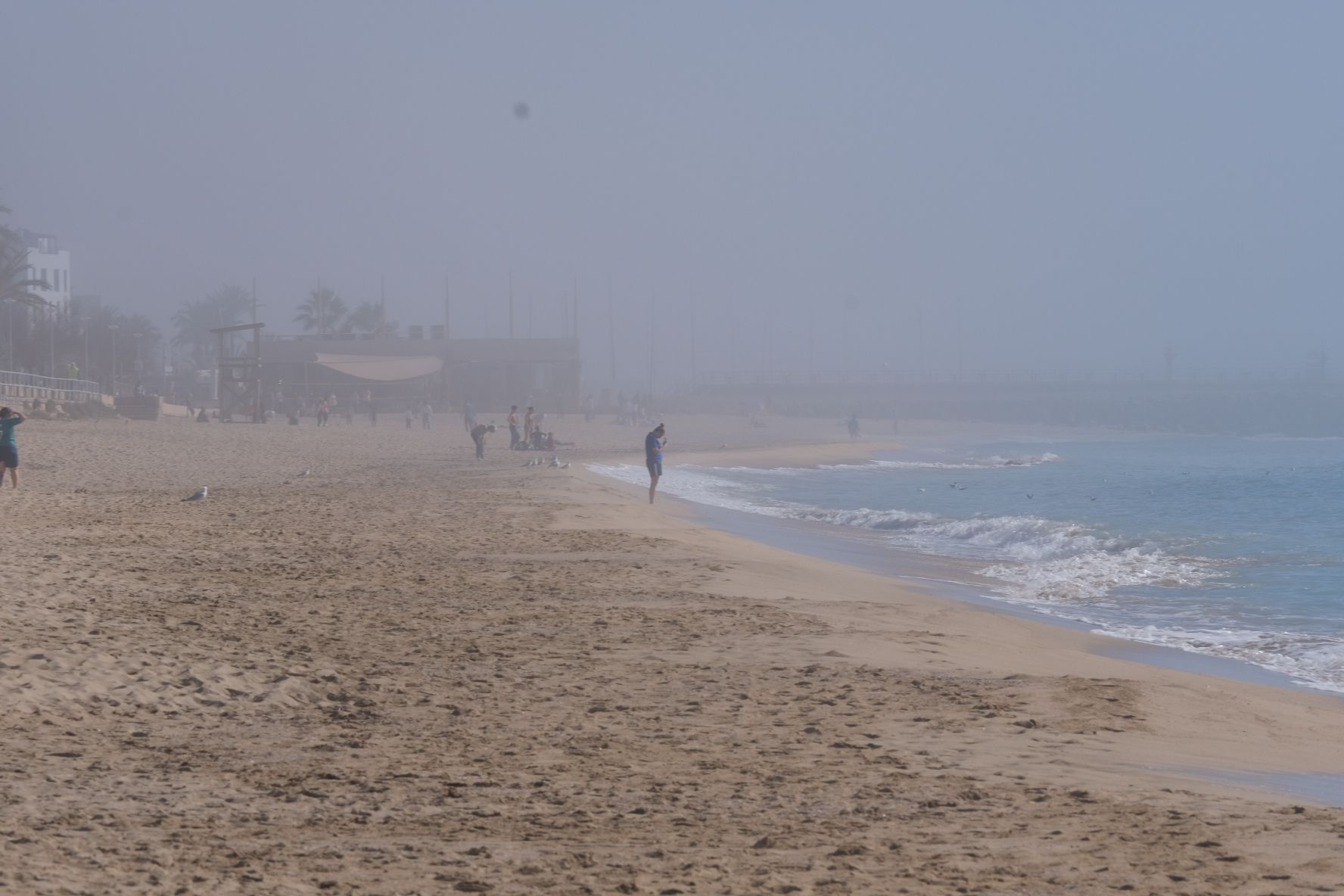 Una densa niebla provocada por el aire cálido y la baja temperatura del mar cubre la bahía de Palma