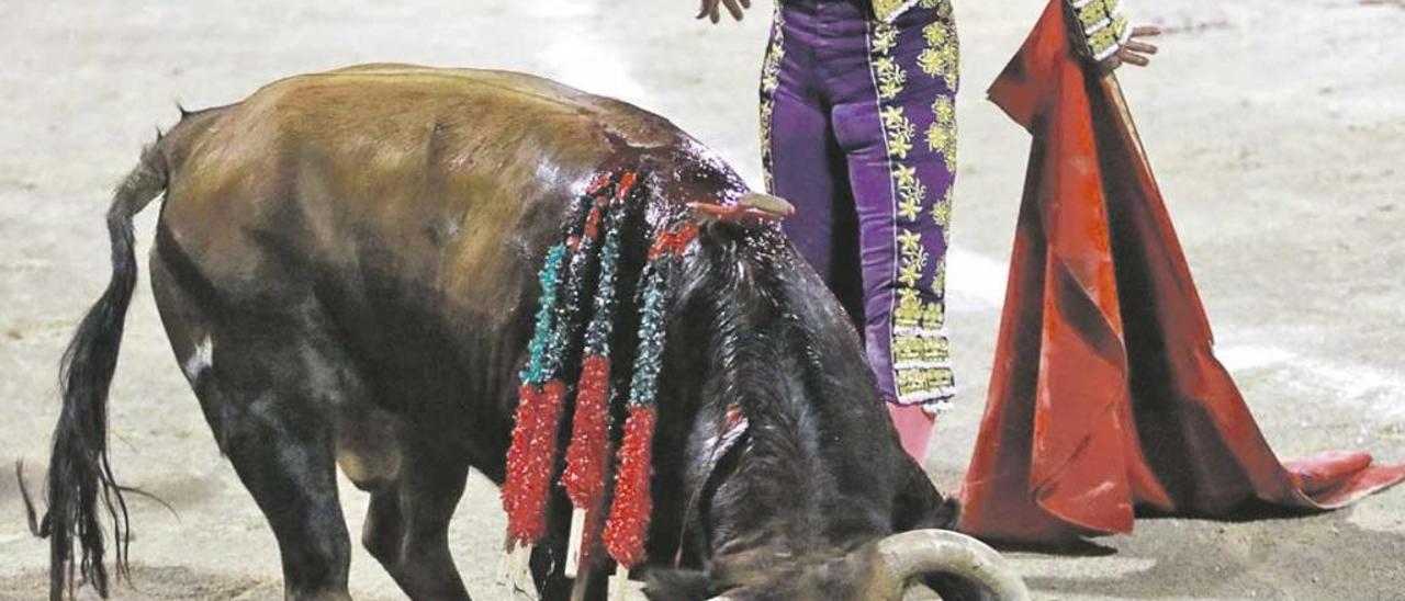 El jueves mataron seis toros en el Coliseo pese a la ley balear.