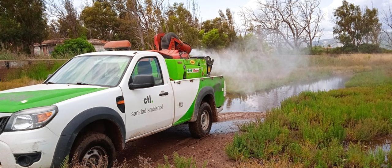 Benicàssim activa su plan especial para el control de mosquitos, incidiendo en las zonas encharcadas del Cuadro de Santiago.